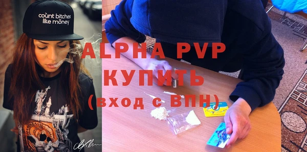 молекула духа Алексин