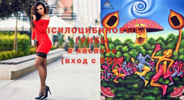 молекула духа Алексин