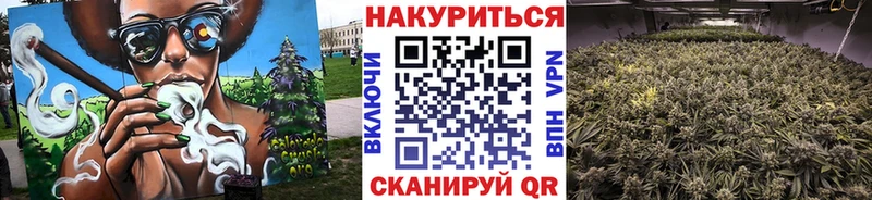 Канабис THC 21%  цена наркотик  мега tor  Жуков 